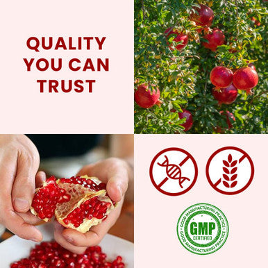 Pomegranate Peel Powder Punica granatum 200g 7 Oz Ayurvedic Herbal Supplement
