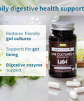 Vegan Collagen Protein Powder + Live Cultures+ Lab4 Probiotics Vegan Bundle, Complete Collagen Boosting Formula + 25 Billion CFU Probiotic with Non-Bloating Prebiotic, by Igennus