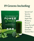 Nature'S Sunshine Power Greens - Wholefood Performance Greens (Power Pouch)