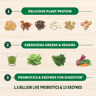 Garden of Life Raw Organic Protein & Greens Lightly Sweet - Vegan Protein Powder For Women And Men Plant And Pea Protein Greens Probiotics Gluten Free Low Carb Shake Made Without Dairy 10Ct Tray