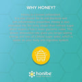 Honibe Omega 3 Gummies for Kids and Adults Made in Canada Supports Brain Health 60 Gummies