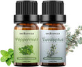 Peppermint + Eucalyptus Essential Oils For Aromatherapy 100% Pure Premium Eucalyptus Massage Oils Massage Skin - 2*10ML Essential Oil