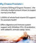 Garden of Life Dr. Formulated Probiotics Prostate+ - Acidophilus And Probiotic Supports Healthy Prostate And Digestive Balance - Gluten Dairy And Soy-Free - 60 Vegetarian Capsules