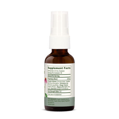 Banyan Botanicals Throat Soother Herbal Spray Organic Herbal Throat Spray With Ecea Root For Throat Comfort And Immune Support* 1 Fl Oz. Non-Gmo Sustainably Sourced Vegetarian