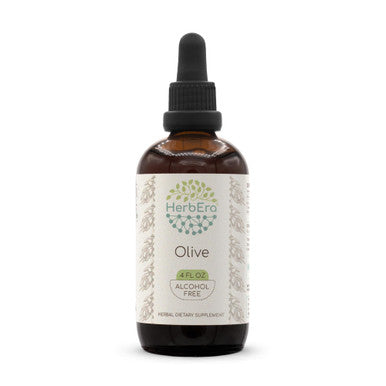 Olive B120 Alcohol-Free Herbal Extract Tincture, Concentrated Liquid Drops Natural Olive (Olea Europaea) Dried Leaf 4 Fl Oz