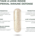 Primal Harvest Primal Immune Defense 10-In-1 Immune Defense Supplement: With 7 Billion Cfu Probiotics, Zinc, Vitamins C, B6, D3, K2 - Immune Boosters For Adults 60 Capsules (1 Pack)
