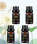 Aromatherapy Sandalwood Essential Oil Set for Diffuser, 100% Pure Jasmine Essential Oil Kit for Humidifier, 4x10ml Therapeutic Grade Myrrh Oil Set-Sandalwood Jasmine Myrrh Ginger Oil, Pure Ginger Oil