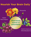 Nature's Bounty Brain Superfood 24 Count Vegan Capsules For Short-Term Memory And Concentration