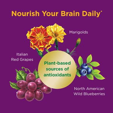 Nature's Bounty Brain Superfood 24 Count Vegan Capsules For Short-Term Memory And Concentration