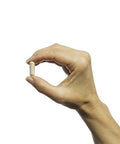 Metagenics Meta I 3 C Stabilized Indole-3-Carbinol 180 servings