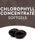 Nature'S Way Chlorofresh, Liquid Chlorophyll Concentrate, Internal Deodorant*, Supports Detoxification Pathways*, 90 Softgels