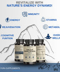 Vinatura Shilajit Pure Himalayan Capsules 1500Mg Supplement