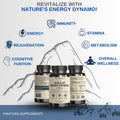 Vinatura Shilajit Pure Himalayan Capsules 1500Mg Supplement