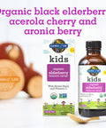 Garden of Life Organic Sambucas Elderberry Syrup For Kids Plus Aronia Berry & Acerola Cherry With Vitamin C For Immune Support Sugar Free Liquid 3.9 Fl Oz