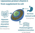 Liposomal Vitamin C 1000mg & Zinc Bisglycinate by Igennus, High Absorption Liquid Immune Support for Men, Women & Kids, USA Made & Non-GMO, Sugar-Free, Citrus Vanilla Flavor, 30-90 Liquid Servings