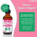 Liquidhealth 100% Vegan Collagen Plus Biotin 100000mcg Liquid Drops - Plant-Based Liquid Collagen for Women Men - Hair & Nail Growth Skin Health Boosts Metabolism - Non-GMO Sugar (2 oz)