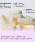 Vinatura Lactobacillus Rhamnosus, Reuteri, Gasseri, Plantarum, Crispatus, Acidophilus Probiotics - 38 Billion Cfu *Usa Made & Tes