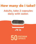 Nature Made Wellblends Immune & Respiratory Epicor Postbiotic Vitamin C Vitamin D3 Advanced Immune Support Supplement 50 Vegetarian Capsules