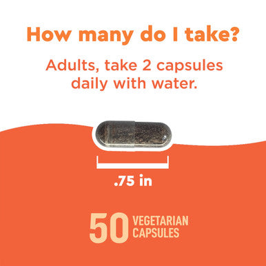 Nature Made Wellblends Immune & Respiratory Epicor Postbiotic Vitamin C Vitamin D3 Advanced Immune Support Supplement 50 Vegetarian Capsules