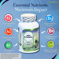 High B Complex Vitamins for Women with Riboflavin, Vitamin B2, B6, B12, B1, Vitamin B Complex Support Brain Health, Immune System, Hair, Skin & Nails Health, Bone, Joint & Energy Support - 100 Tablets