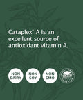 Standard Process Cataplex A - Antioxidant Supplement For Eye Health And Antioxidant Activity With Vitamin A, Magnesium Citrate