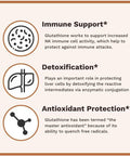 Utzy Naturals L-Glutathione | Immune Health & Antioxidant Support | Setria 250Mg Reduced Form Glutathione | High Absorption | Made In The Usa | 60 Capsules