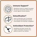 Utzy Naturals L-Glutathione | Immune Health & Antioxidant Support | Setria 250Mg Reduced Form Glutathione | High Absorption | Made In The Usa | 60 Capsules