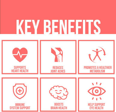 Krill Oil 1000mg Softgels by GoBiotix Extra Strength with Omega3s EPA DHA Astaxanthin Phospholipids Wild Caught Icelandic Fish Oil Supplement for Joint Brain Heart Health 30 Servings