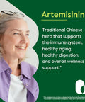 Bestvite Artemisinin 200mg (60 Vegetarian Capsules) - No Stearates - No Flow Agents - Vegan - Non GMO - Gluten