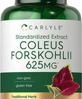 Carlyle Coleus Forskohlii Capsules | 625Mg | 100 Count | Non-Gmo & Gluten Free Standardized Extract | Forskolin Supplement