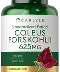 Carlyle Coleus Forskohlii Capsules | 625Mg | 100 Count | Non-Gmo & Gluten Free Standardized Extract | Forskolin Supplement