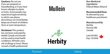 Mullein Herbal Tincture Liquid Extract (100mL, 3.4oz)