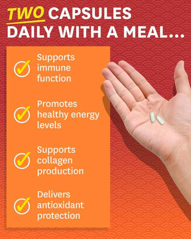 Zenwise Vitamin C Liposomal Ascorbic Acid 1500 MG of Organic Highly Bio Available Vitamin C for Immune Health Natural Energy Boost and Skin Care Support 3 Month Supply 180 Capsules