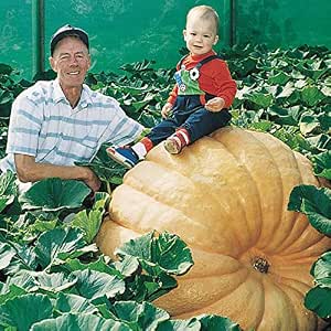 Terrasoul Superfoods Organic Heirloom Pumpkin Seeds, 1.5 Lbs - Sourced from Europe, Keto, Raw, Unsalted