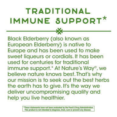 Nature's Way Elderberry, 100 Cap, (Pack of 2)