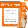 Liquidhealth 2.3 Oz Liquid Cat Glucosamine Joint Purr-Fection - Hip and Joint Support Chondroitin Feline Droppers - Senior Older Cats Kittens
