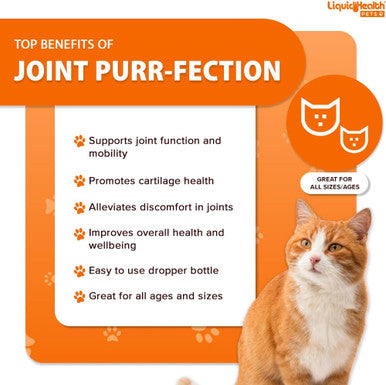 Liquidhealth 2.3 Oz Liquid Cat Glucosamine Joint Purr-Fection - Hip and Joint Support Chondroitin Feline Droppers - Senior Older Cats Kittens