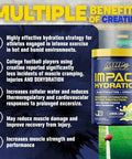 Mhp Impact Hydration Electrolyte Creatine Sports Drink Mix No Artificial Sweeteners Or Colors Performance Strength Recovery Lemon Lime 30 Servings