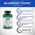 Blueberry Biome by Purity Products Digestion Detox Formula Promotes a Healthy MicroBiome More PreforPro Prebiotic DE111 Probiotic BroccoRaphanin Antioxidant Fruit Veggie Blend 90 Caps