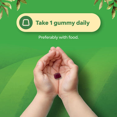 Kids Elderberry Gummies With Zinc And Vitamin C - Delicious Sambucus Black Elderberry Gummies For Kids Immune Support - Daily Kids Immunity Support Gummies Vegan Non-Gmo Gluten And Gelatin Free