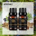 Aromatherapy Juniper Berry Essential Oil Set for Diffuser, 100% Pure Frankincense Essential Oil Kit for Humidifier, 2x10ml Therapeutic Grade Essential Oils Kit-Frankincense, Juniper Berry Oil for Home