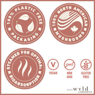 Stay Wyld Organics Turkey Tail Mushroom Vegan Powder Supplement - Immune & Gut Health Support Energy Booster - Perfect for Adult Women & Men 100 Grams