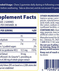 Enzymedica Ginger & Vitamin B6 Gummies Support For Occasional Nausea & Indigestion High Potency Equivalent To 200 Mg Ginger Extract 60 Count