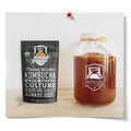 Fermentaholics Kombucha Scoby & Starter Tea | Live Fresh Organic Starter Culture | Diy Kombucha | 12Oz Fresh Starter Tea