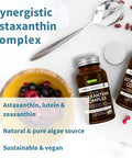 Astaxanthin Complex + Zinc Complex Vegan Bundle, Antioxidant Support For Skin, Hair & Nails, By Igennus