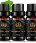 Therapeutic-Grade Aromatherapy Essential Oils Set, Peppermint Lavender Frankincense Essential Oils Set, 100% Pure Aromatherapy Essential Oils Kit for Diffuser, Massage, Humidifier 3x10ml