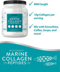 Marine Collagen Powder 20 Oz | Hydrolyzed Collagen Peptides | Unflavored | Keto, Paleo, Non-GMO, Gluten Free Supplement | by Horbaach