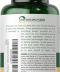 Carlyle Ceylon Cinnamon Complex with Gymnema and Mulberry | 150 Capsules | Non-GMO Gluten Supplement