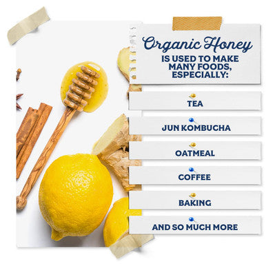 Fermentaholics Usda Organic Honey (1-Pack)