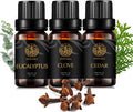 Aromatherapy Cedar Essential Oil Set for Diffuser, 3X10ml 100% Pure Eucalyptus Essential Oil Kit for Humidifier - Eucalyptus, Cedar, Clove Essential Oil Set, Aromatherapy Clove Essential Oils Kit